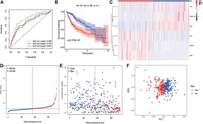 Identification of an Endoplasmic Reticulum Stress-Related Gene Signature to Evaluate the Immune Status and Predict the Prognosis of Hepatocellular Carcinoma